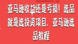 亚马逊收益还是亏损！选品就是选投资项目，亚马逊选品教程