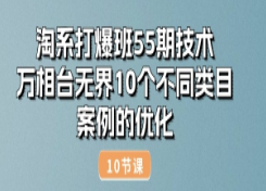 淘系打爆班55期技术：万相台无界10个不同类目案例的优化(10节)