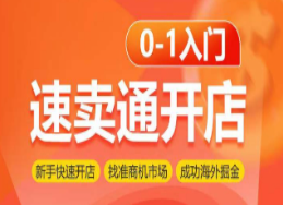 速卖通开店0-1入门，新手快速开店 找准商机市场 成功海外掘金