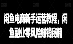 闲鱼电商新手运营教程，闲鱼副业零风险赚钱秘籍